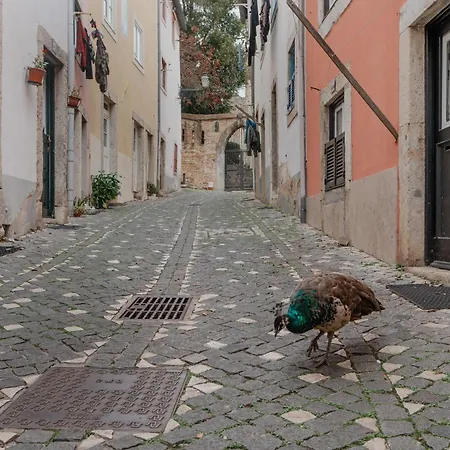 Stylish Getaway In A Mezzanine Flat By The Castle Apartman